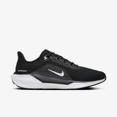 Nike Pegasus 41 (Black & White)
